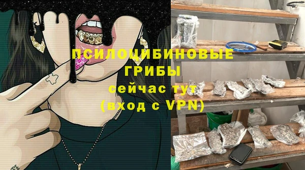винт Армянск